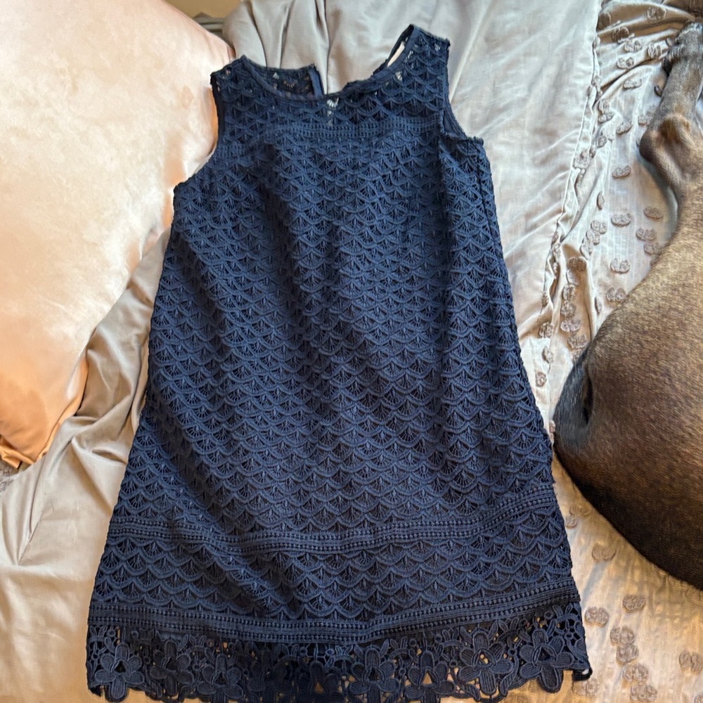LOFT Navy Blue Lace Mini Dress